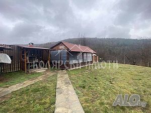 image_3