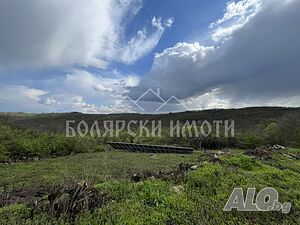 image_6