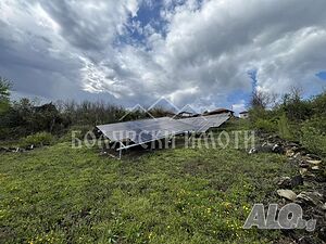 image_7