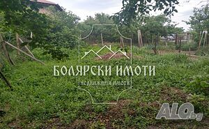 image_15