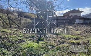 image_7