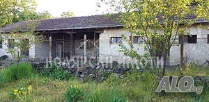 image_11
