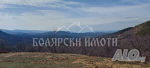 image_15