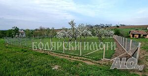 image_7