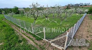 image_8