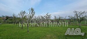 image_9