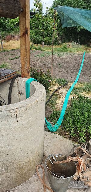 image_6