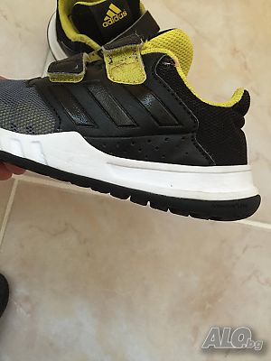 image_3