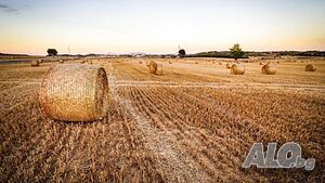 Продава Земеделски земи обл. Плевен