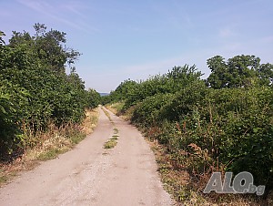 image_6
