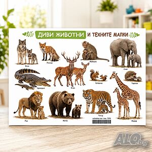 7039 Образователно табло Диви животни и техните малки - А3, ламинирано