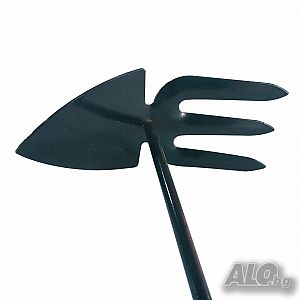 image_4