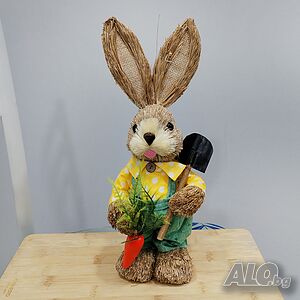 image_6