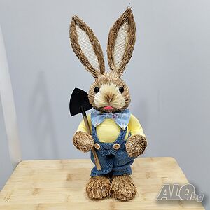 image_7