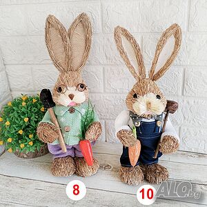image_11