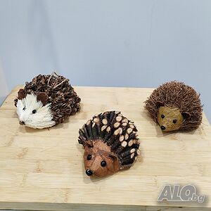 image_3