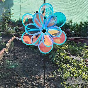 image_7