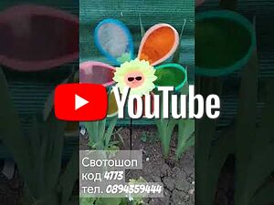 image_4