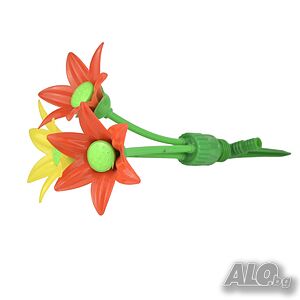 image_2