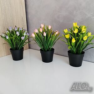 image_2
