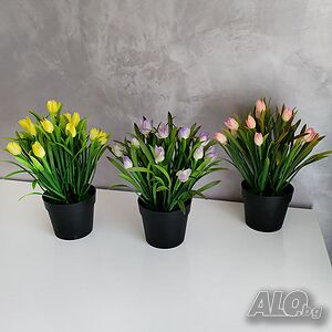 image_4