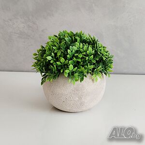 image_2