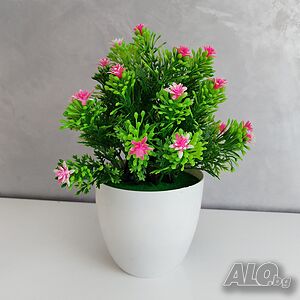 image_3