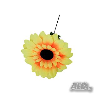 image_3