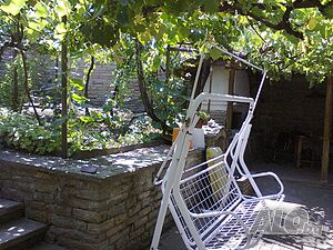 image_6