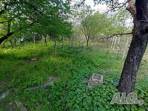 image_12