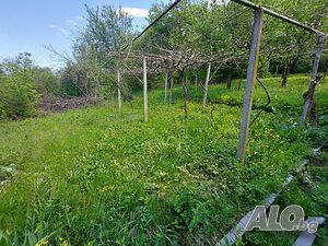 image_14