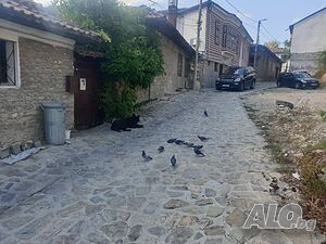 image_6