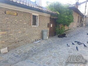 image_7