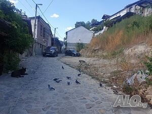 image_8