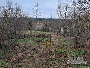 image_10