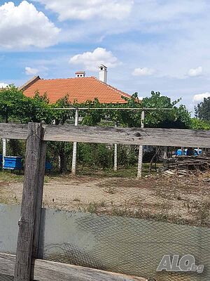 image_11