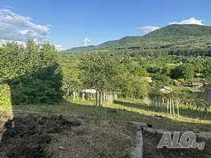 image_12
