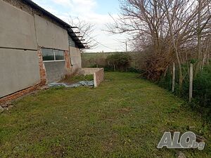 image_7