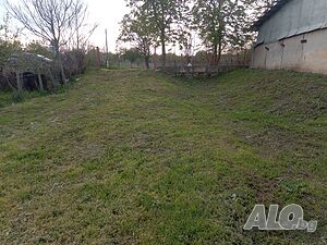 image_9