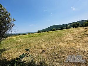 image_4