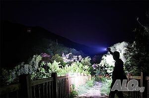 image_14