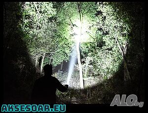 image_4