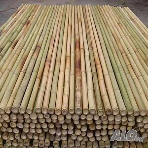 image_12