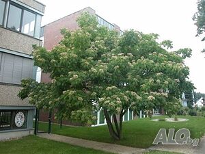image_13