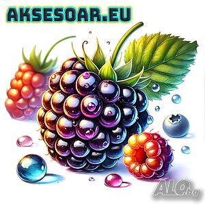 Висококачествени нови семена от хранителна Къпина без бодли Rubus rusticanus 50+ семена антиоксидант