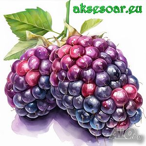 image_3