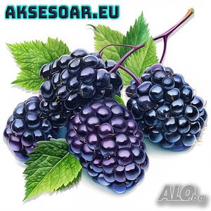 image_6