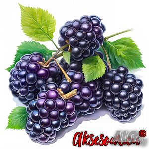 image_13