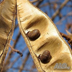 image_13