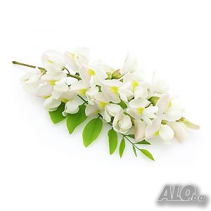 image_14